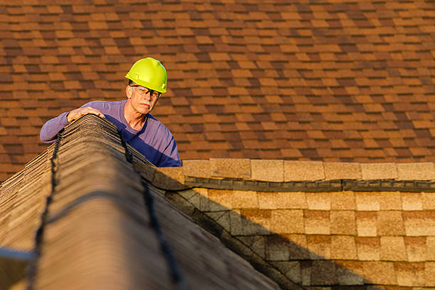 Best Roof Restoration Services  in Eslon, CA