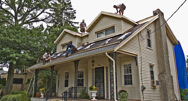 Best Roof Leak Repair  in Eslon, CA