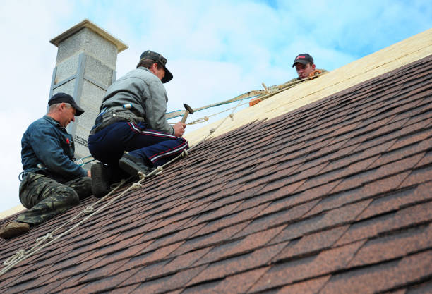 Best Roof Waterproofing Services  in Eslon, CA
